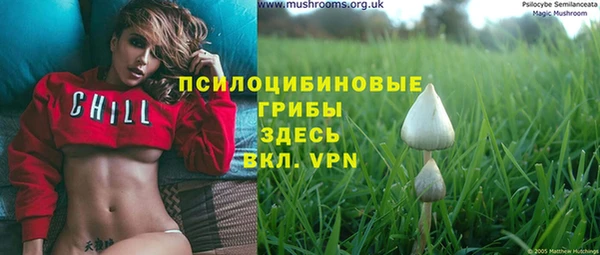амф Алзамай