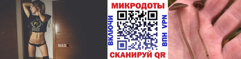 Псилоцибиновые грибы Psilocybine cubensis  darknet официальный сайт  Сосновоборск  omg ссылки 